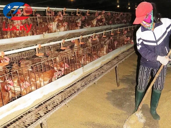 Thiết kế vệ sinh chuồng trại